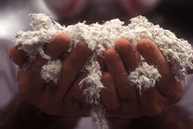 Asbestos